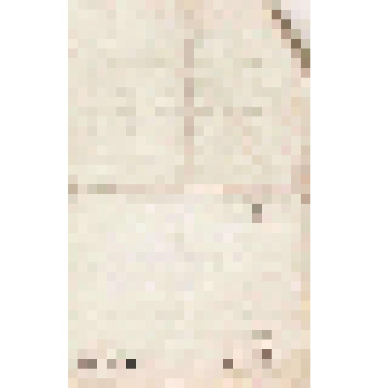 Письмо Н.П.Алину от дяди Василия Алина из г. Чердыни, 21.05.1902 г