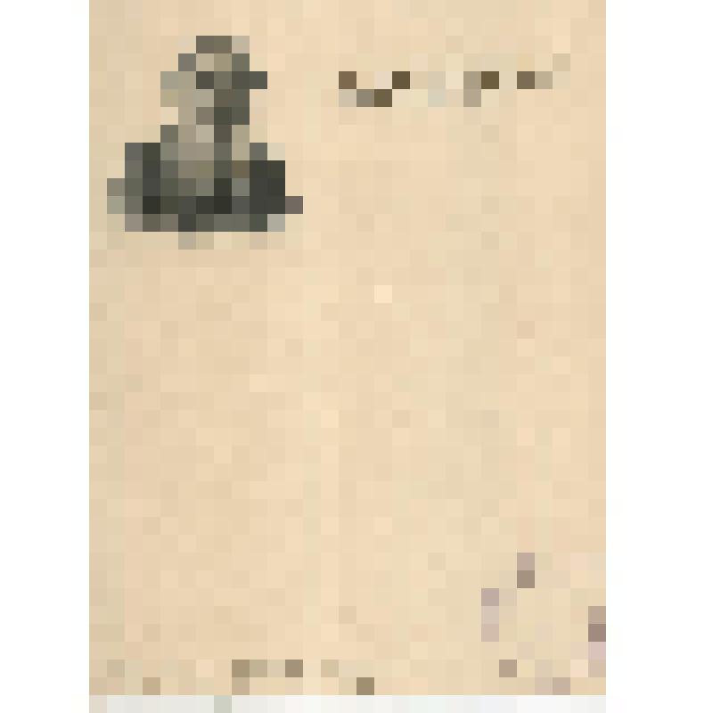 Лист почтовой бумаги с портретом Л.Н. Толстого