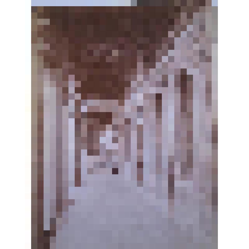 Церковь Санта Кроче. 1252-1300 гг., 15 в., 19 в. Италия, Флоренция. Церковь Санта Кроче. Капелла Пацци. Авт. Ф. Брунеллески. Изд. Алинари
