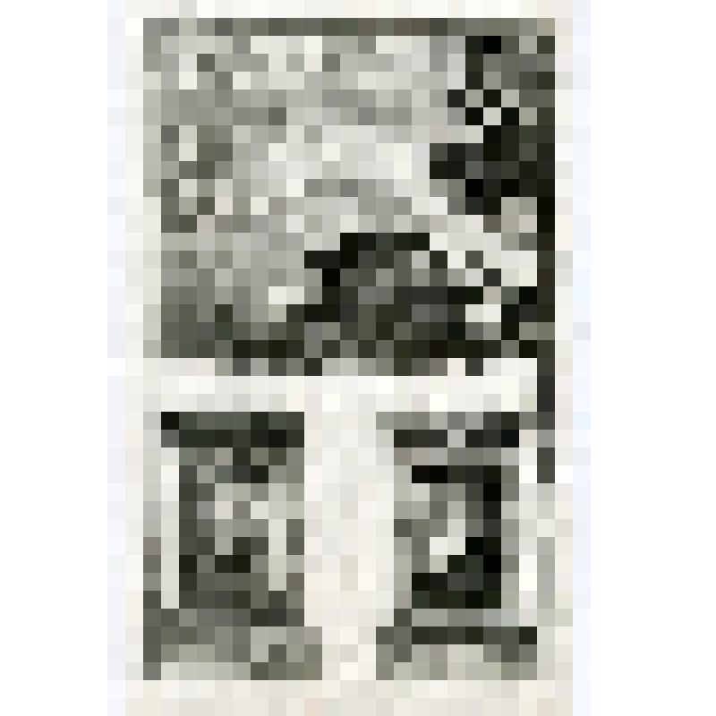 Офорт. Лист 115. Слово Господне к Иеремии. Князья бросают Иеремию в яму. Царь Седекия закалывается вавилонянами. (Иер. 36, 38, 39)