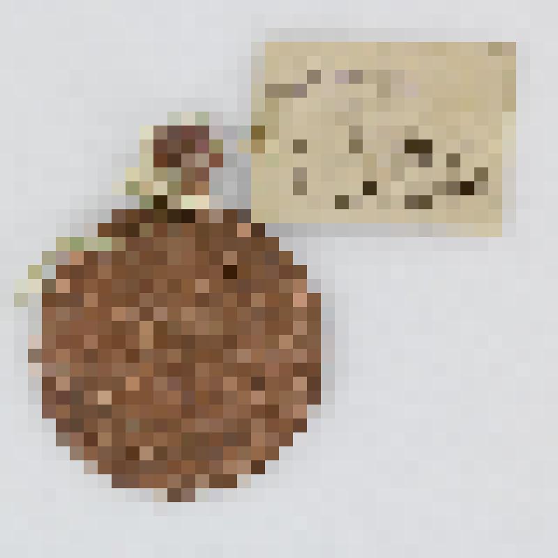 Панагия круглая