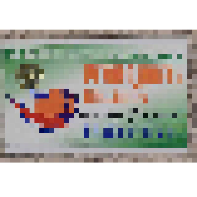 Карточка визитная-бэйдж Виктора Фридмана- руководителя пресс-центра XXI Чемпионата мира по хоккею с мячом. 1999 г