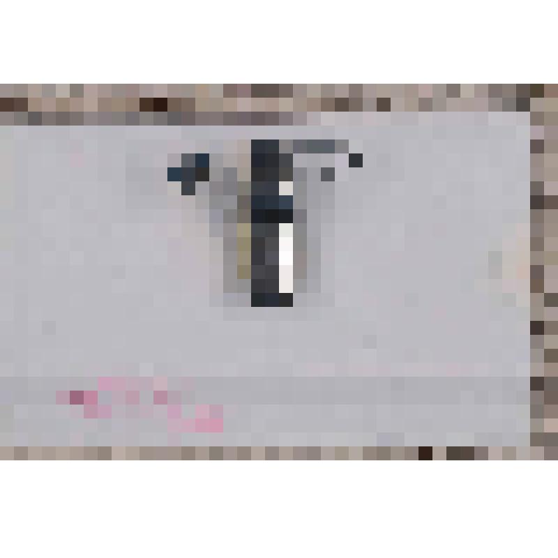 Карточка визитная-бэйдж Виктора Фридмана- руководителя пресс-центра XXI Чемпионата мира по хоккею с мячом. 1999 г