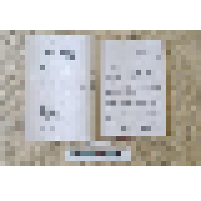 Книга "Огнём и железом"