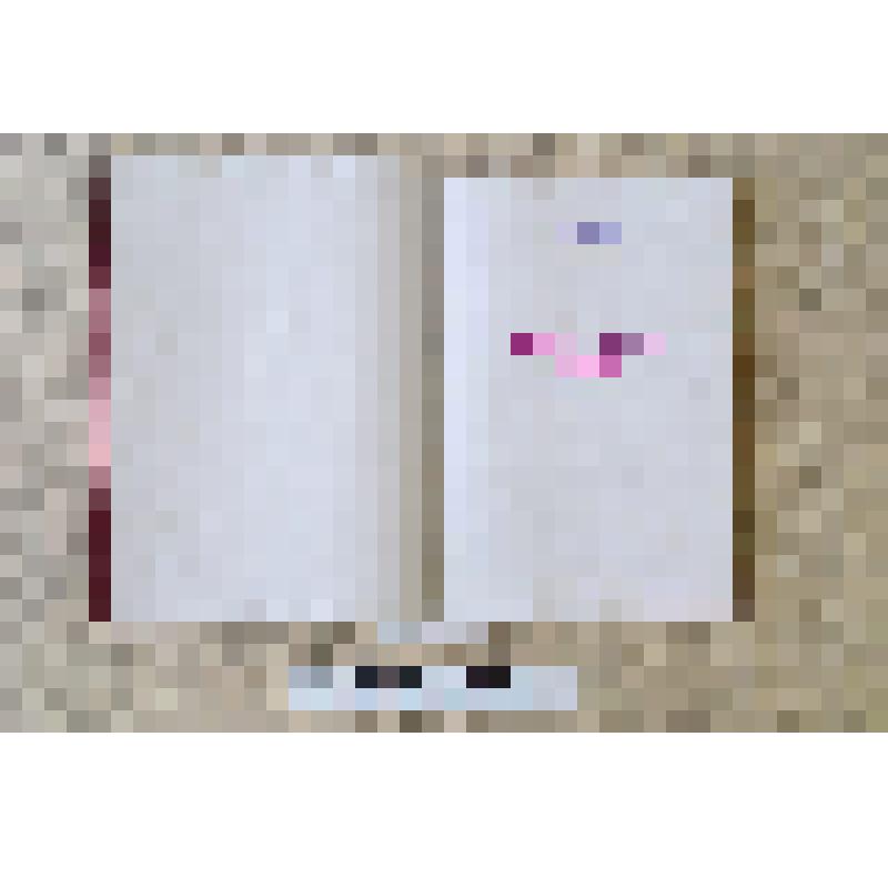 Книга "Огнём и железом"