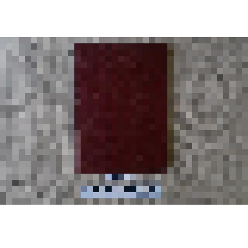 Книга "Огнём и железом"