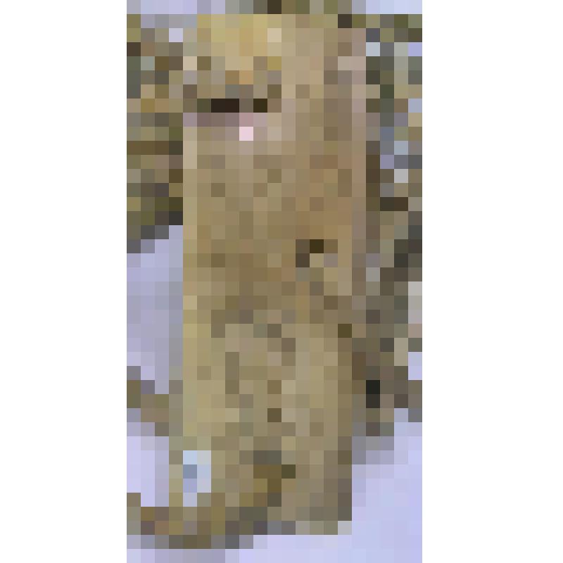 Пластина нащечная