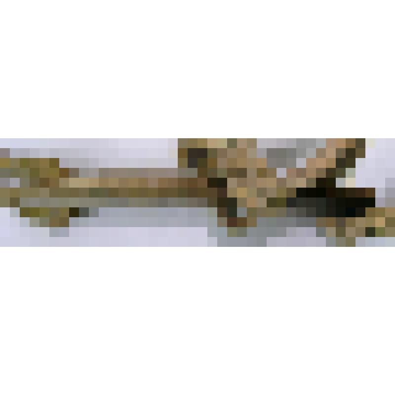 Пластина нащечная