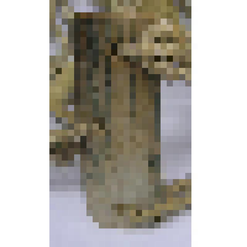 Пластина нащечная