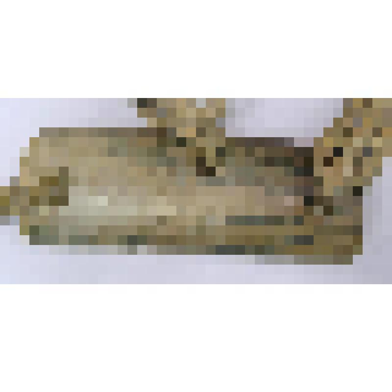 Пластина нащечная