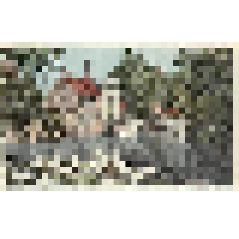Серия: Brugge Bruges. Открытка. Ingangspoort van Begijnhof. Entree du Begulnage (место съемки: Бельгия, г. Брюгге)