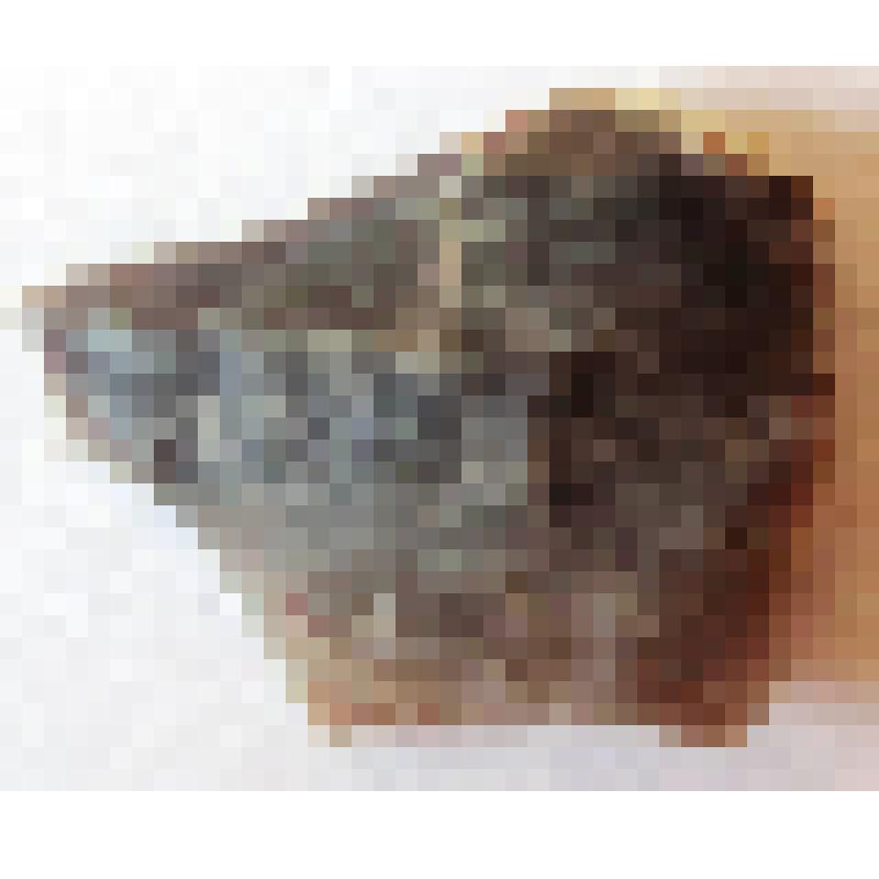 Отщеп с ретушью