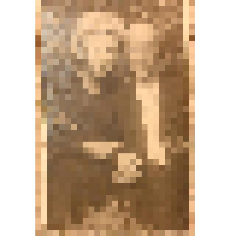 Фотография. Исай Тобольский, саратовский поэт, и Лидия Чуевская, корректор газеты "Коммунист", из коллекции материалов семьи Пржевальского Евгения Васильевича, внука Пржевальского Александра Евгеньевича, редактора газет "Саратовская копеечка", "Саратовска