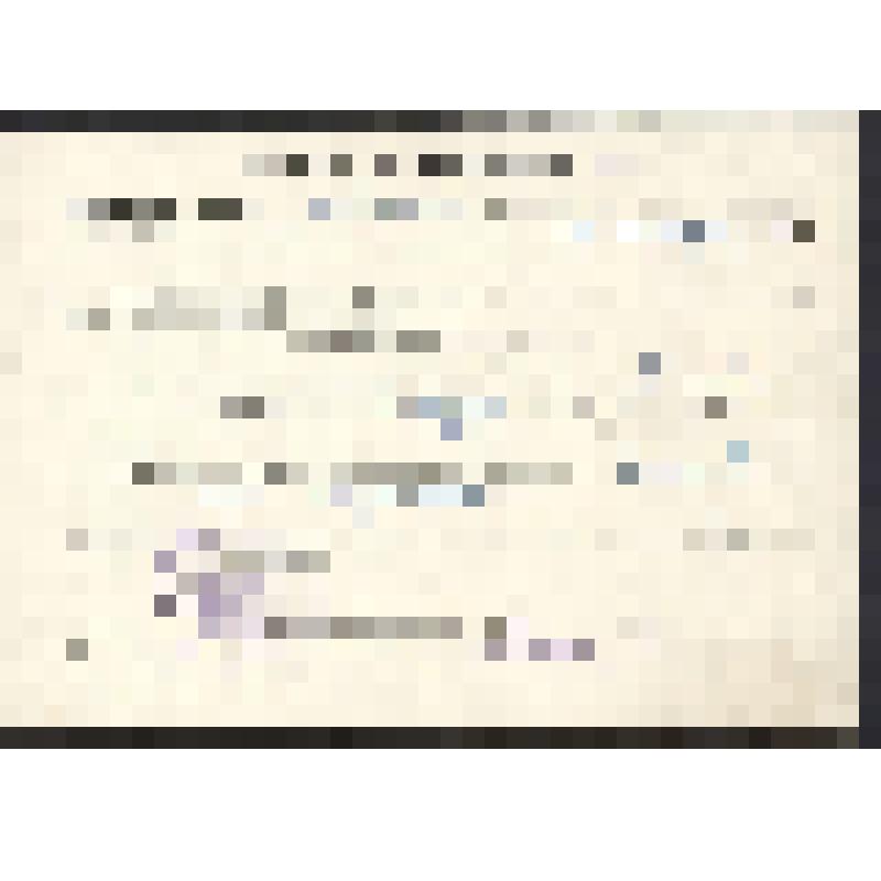 Выписка из решения № 199 о проведении правовой регистрации домовладения на Снегерёву В.А. г. Новосибирск