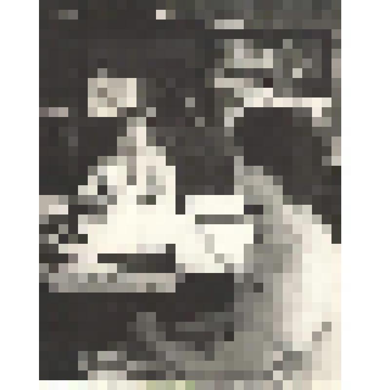 Фотографии. Фото. Надина Т.П. - заслуженный учитель РСФСР беседует с учащейся педучилища