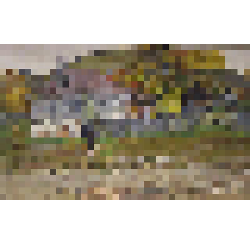 Рыбацкая слобода. /Осень/