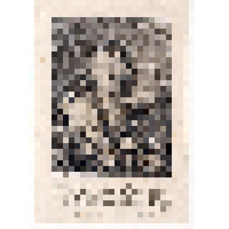 «Портрет Ф.Г. Волкова».1764. По живописному оригиналу А.П. Лосенко