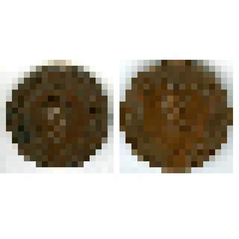 Медаль "Императорское русское общество акклиматизации животных и растений. Учреждено в 1864 г. волею Александра II и попечением брата его Николая"