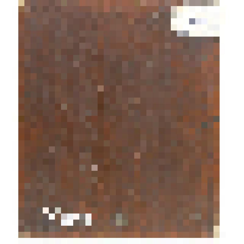 Апостол Петр и Павел. Икона