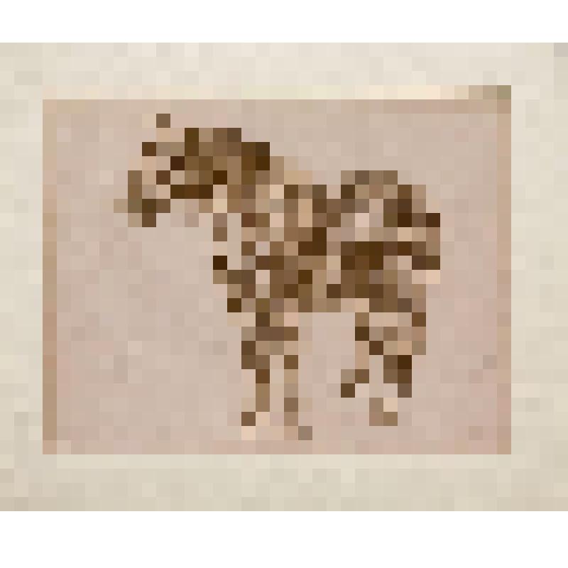 Лошадь стоя. Рисунок