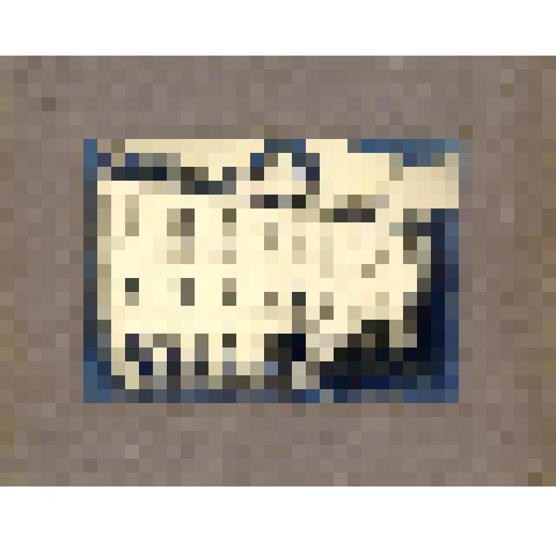 Фотография. Вид со двора на дом № 23/2 на углу Кооперативной ул. и Софроновской пл. после пожара в октябре 1928г