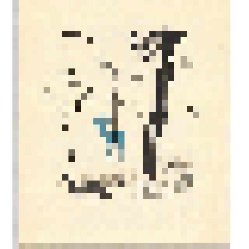 Литография. Светлая ночь. Из серии «Сосны»