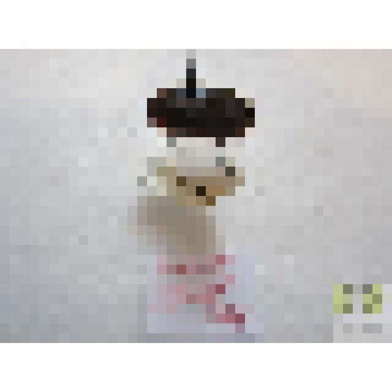 Болотник гладкий (Hydaticus)