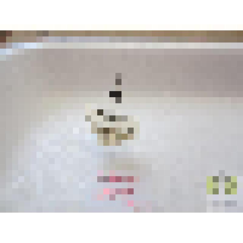 Карапузик краснопятнистый (Atholus bimaculatus L.)