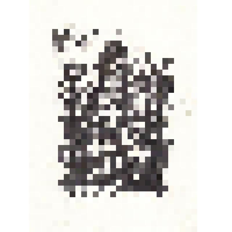 Экслибрис "Ex Libris Льва Гимова"