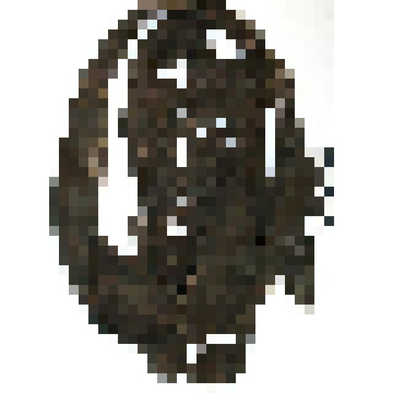 Туфель. Подошва и головка. Коллекция из раскопок городища Мангазея 2009 г