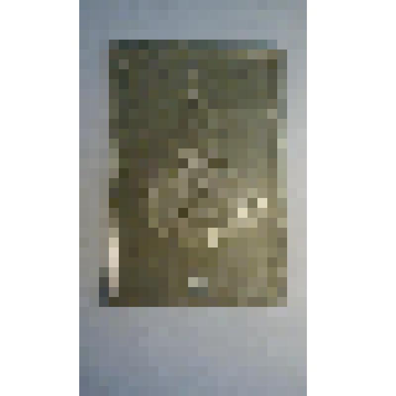 Портрет Ф.М.Достоевского .Барельеф на картоне