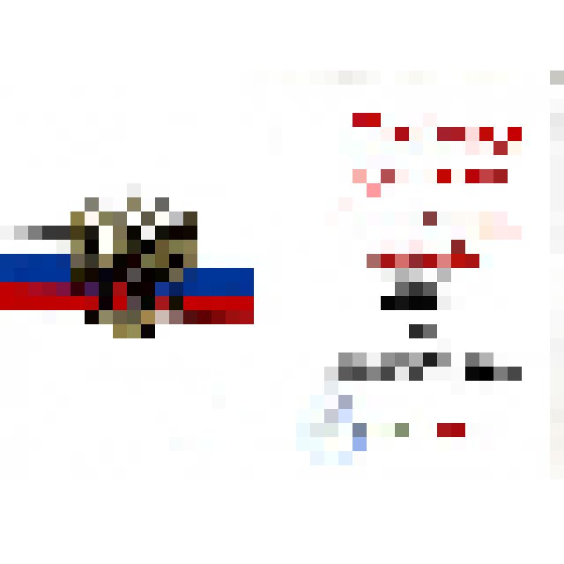 Почетная грамота Гнездилова В.С. от Полномочного представителя президента РФ Приморском крае