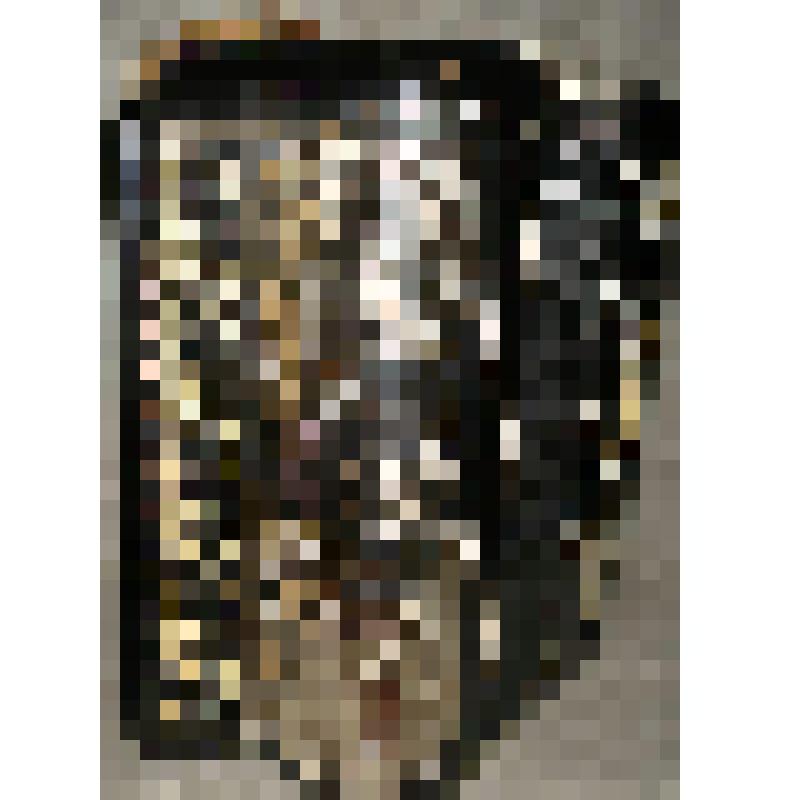 Баян «Мелодия»