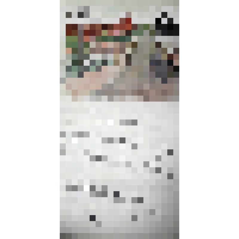 Приветственное письмо к Евсееву Ф.З