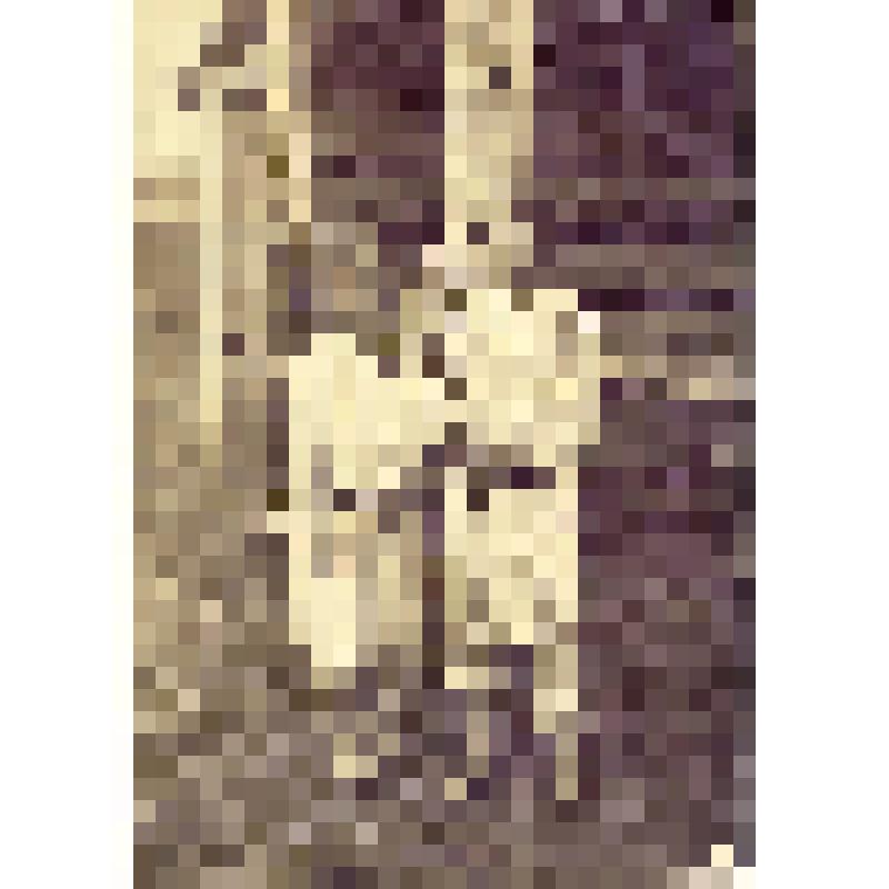 Фотоотпечаток. Девочки. Чуваши