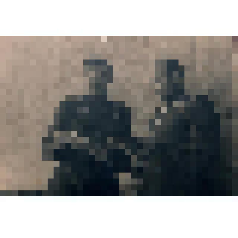 Фотография. Полковник артиллерии Гавриков Н.С. и командир бригады полковник Косачев (?)