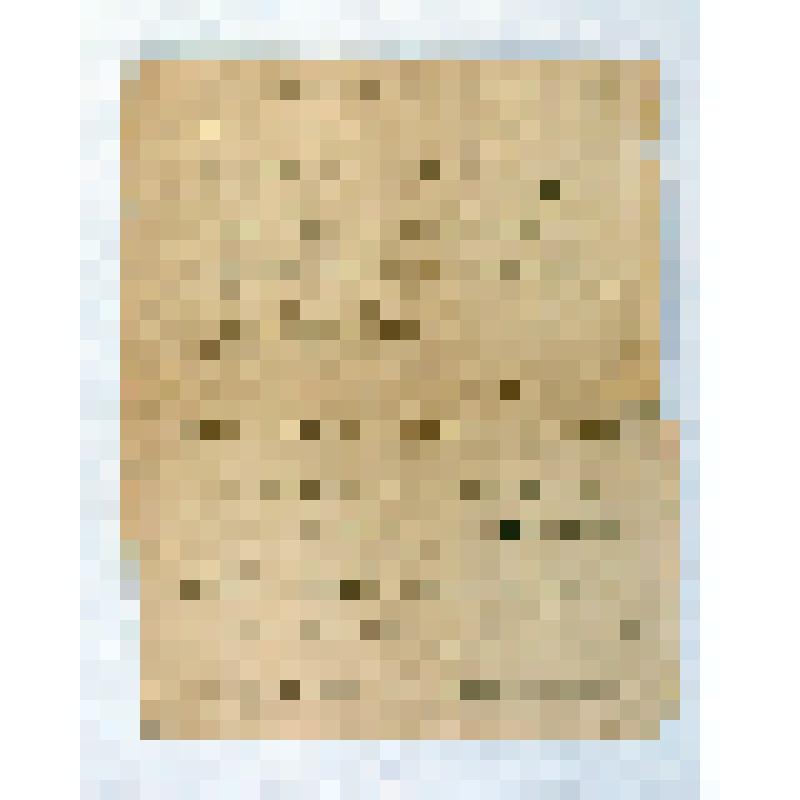 Письмо фронтовое старшего политрука Козлова П.А., помощника начальника политотдела 25-й Чапаевской стрелковой дивизии Приморской армии по комсомольской работе, жене в Азербайджан на станцию Акстафа