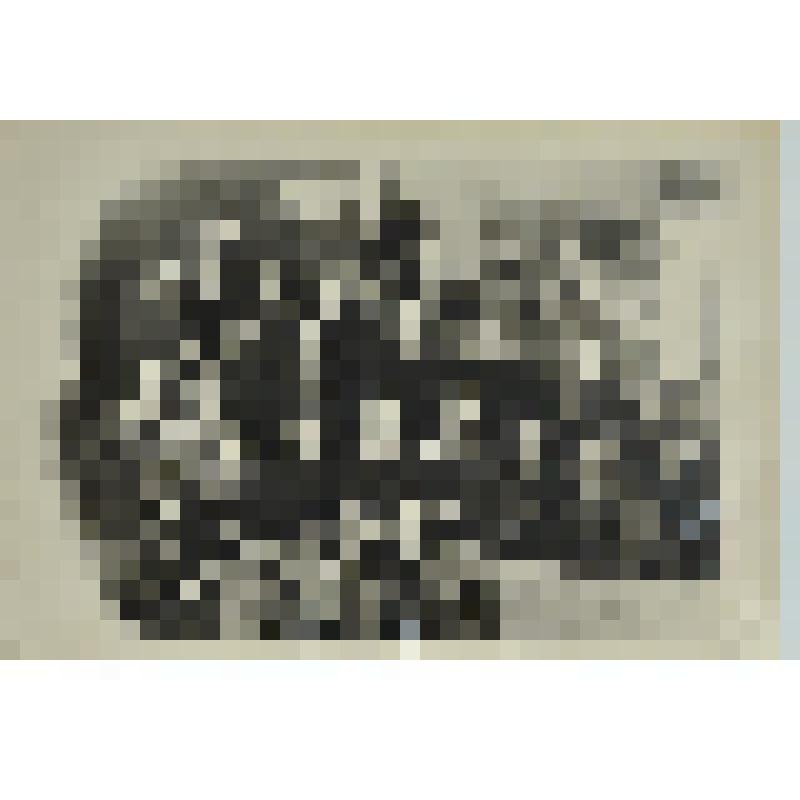 Фото групповое. Коллектив артели "Новость". В 3-м ряду снизу, 3-й слева - администратор Хазов, 4-й - Нестеров П.С., закройщик; 2-я - брючница Тина