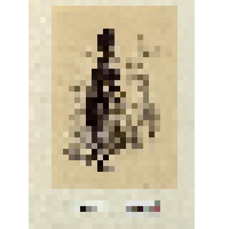 Иллюстрация в полный лист к очерку "Le défeuseur officieux" напечатанном во II томе "Les frauçais paiuts par eux - mêmes"