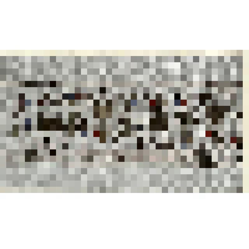 Образец золотной вышивки Тверской области. Из альбома "Таблицы-зашивки с золотной вышивкой Тверской области". Часть 2