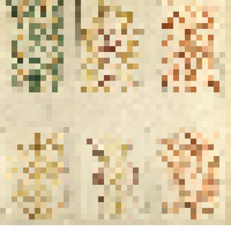 Зарисовки дагестанского орнамента. Из альбома зарисовок «Дагестанские экспедиции Шиллинга. 1939 – 1944 гг.». Часть IV