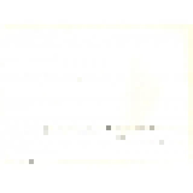 Фотография черно-белая. Приовражная лесополоса, Почепский район