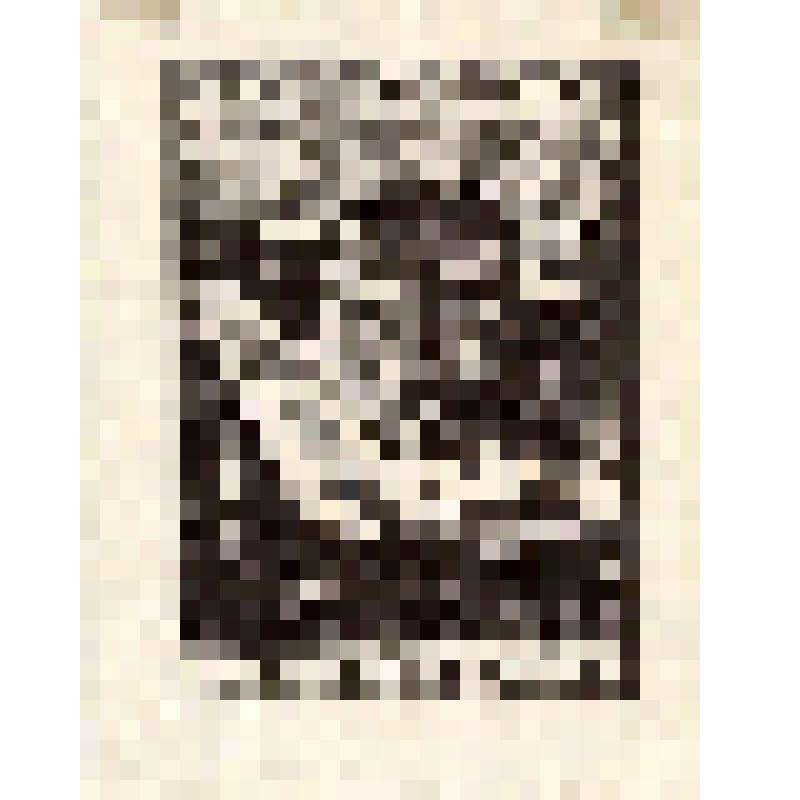 Экслибрис Чернышевской Н.М