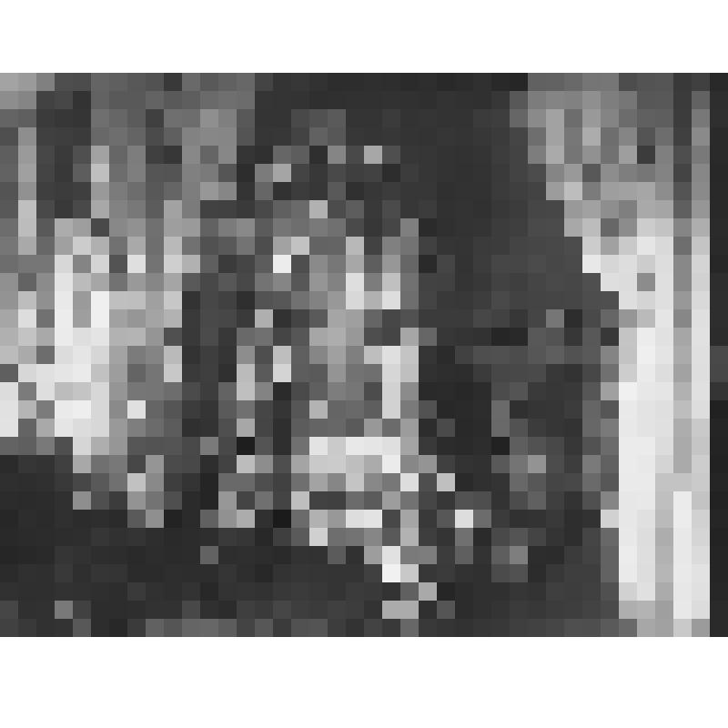 Большой дворец. Восточный флигель. Спальня. Альков. Отпечаток с  негатива начала XX века. Фотограф Н. Г. Матвеев