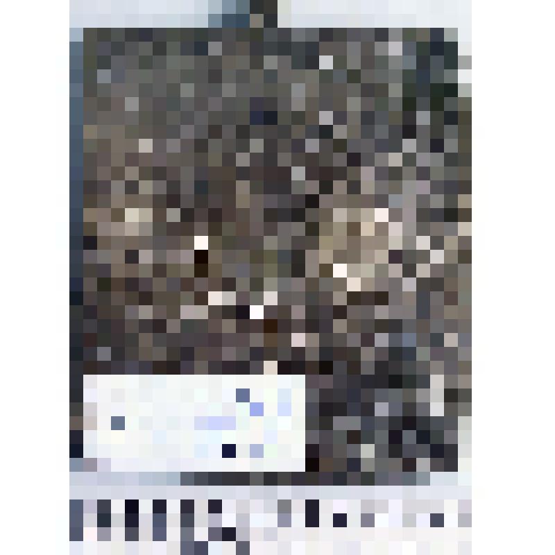 Икона святых Зосима и Савватия