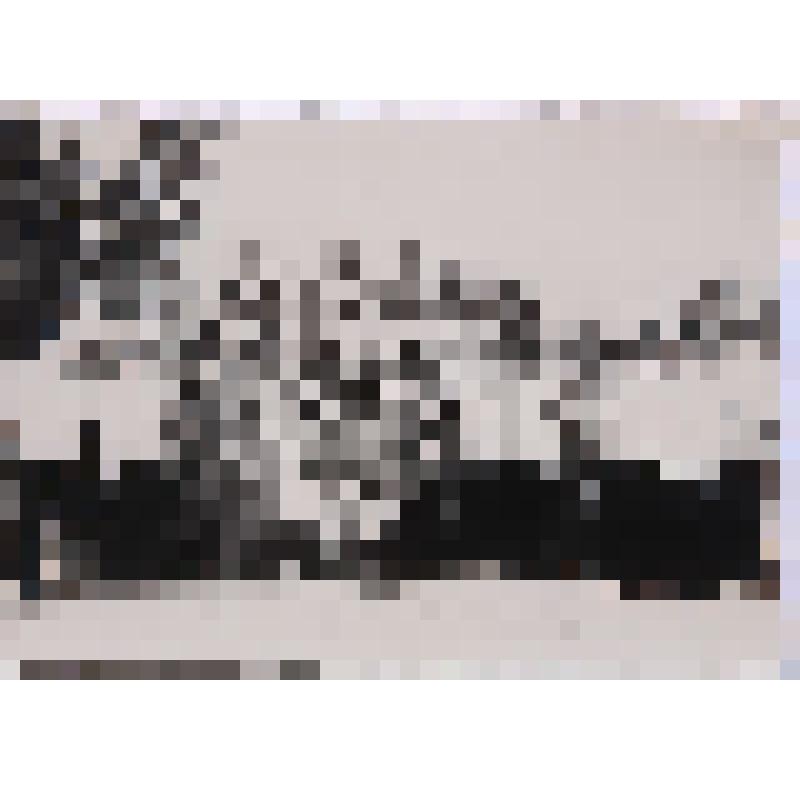 Фотография. Личный состав Аварийно-спасательного дивизиона