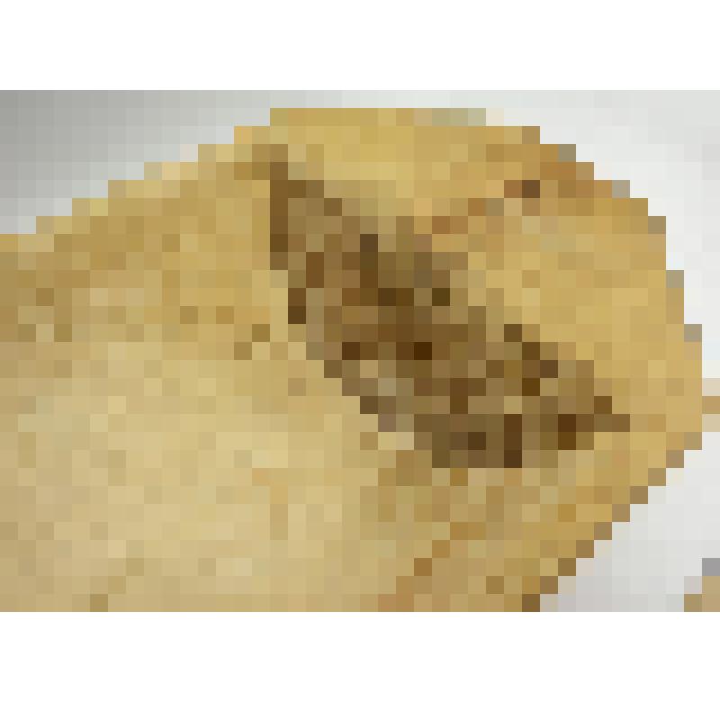 Корытце Тегенцева Владимира Петровича, ветерана Великой Отечественной войны