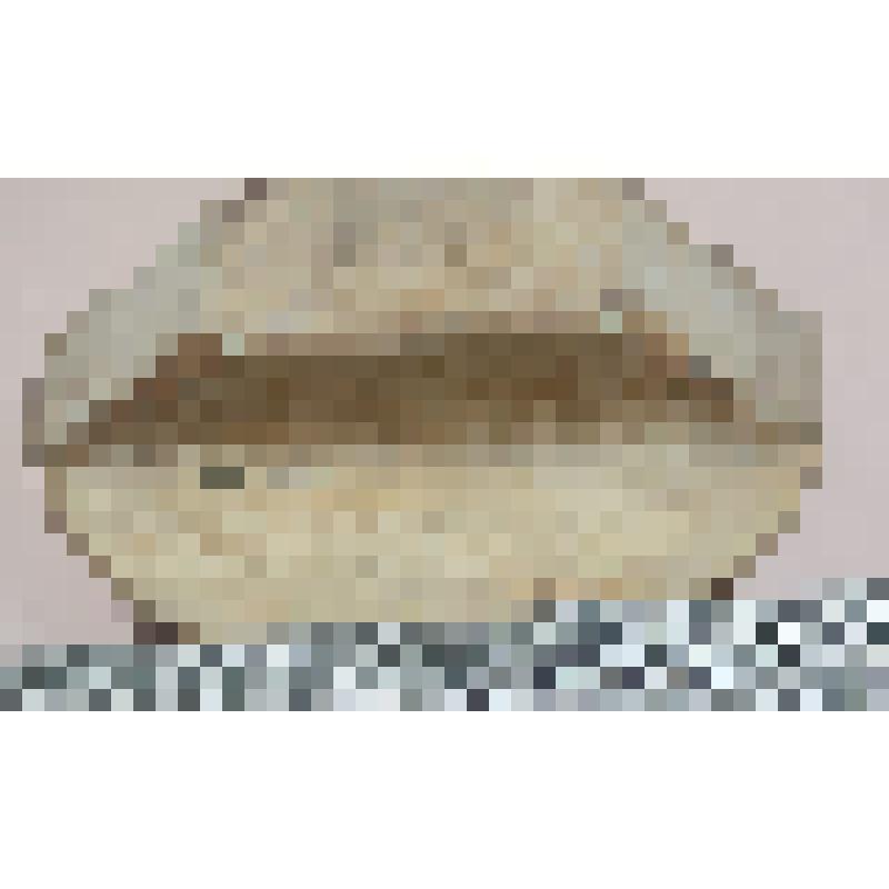 Корытце Тегенцева Владимира Петровича, ветерана Великой Отечественной войны