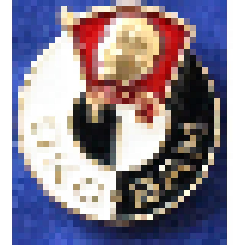 Значок члена оперативного отряда на БАМе