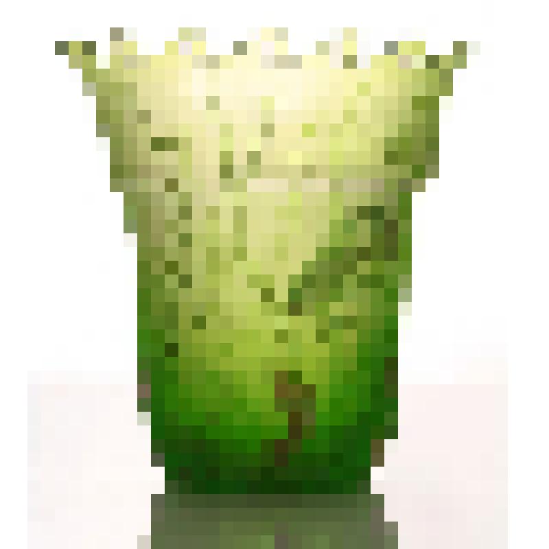 Декоративная ваза "Аквариум"